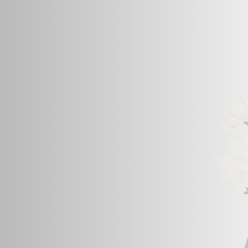 Fat Cavitation: What You Need to Know and How to Choose the Best Melbourne Cosmetic Clinic
